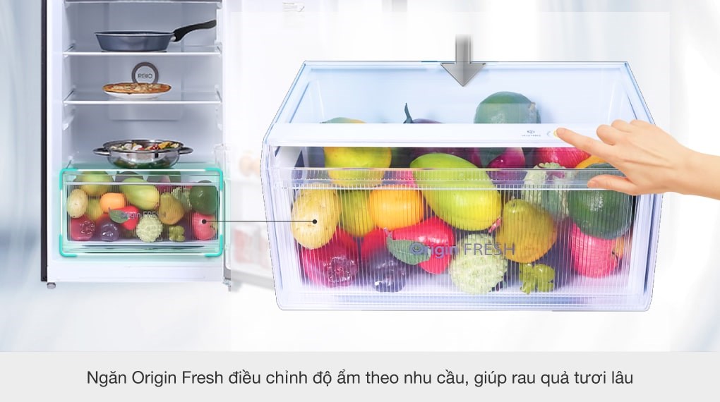 Tủ Lạnh Toshiba Inverter 311 Lít GR-RT395WE-PMV(06)-MG - ngăn trữ rau quả